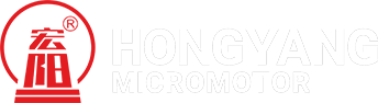 Hongyang Micromotor