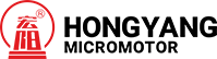 Hongyang Micromotor